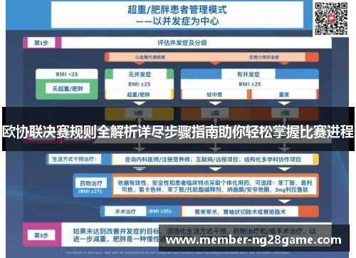 欧协联决赛规则全解析详尽步骤指南助你轻松掌握比赛进程